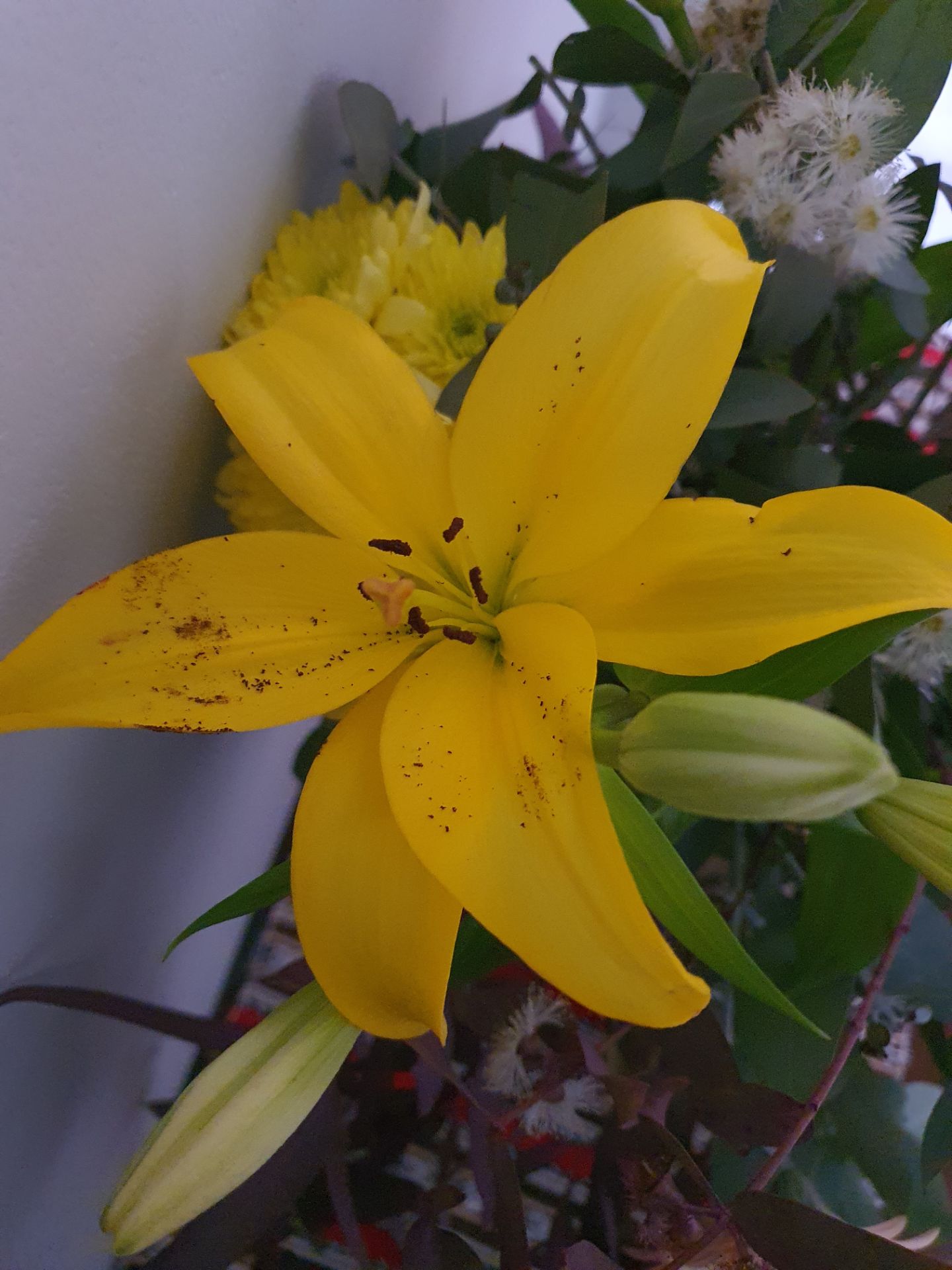 Flowers 4 Flowers 4